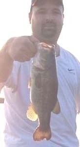 Photo of Bass Caught by Jose with Mister Twister 4