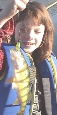Photo of Perch Caught by Chani with Mister Twister  in Washington