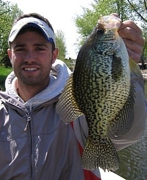 Photo of Crappie Caught by Matt with Mister Twister 1⅛