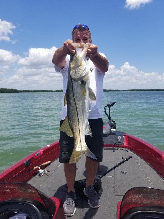 Photo of Snook Caught by Mark with Mister Twister Exude™ 4¼