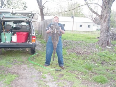 Photo of Catfish Caught by James with Mister Twister Sassy Shad® in Kansas