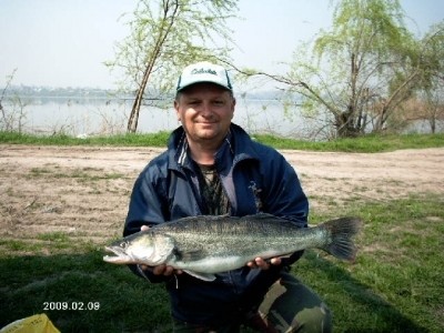 Photo of Walleye Caught by Sorin with Mister Twister 4