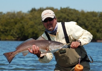 Photo of Redfish Caught by Bill  with Mister Twister Exude™ 4¼
