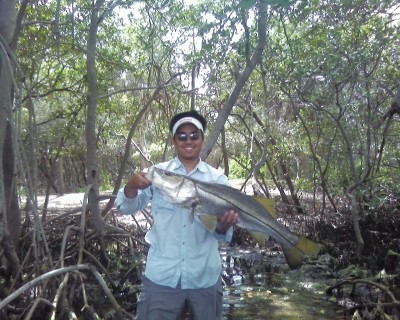 Photo of Snook Caught by Yang  with Mister Twister Exude™ 5
