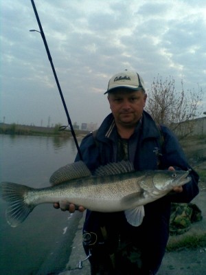 Photo of Walleye Caught by Sorin with Mister Twister Exude™ 4