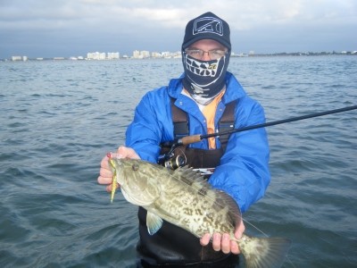 Photo of Grouper Caught by David Amos with Mister Twister Exude™ 4¼