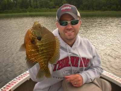 Photo of Sunfish Caught by Matt with Mister Twister Mister Mino™ in Minnesota