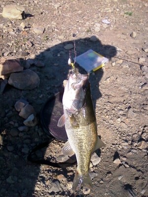Photo of Bass Caught by Glenn with Mister Twister G-Grub® in California