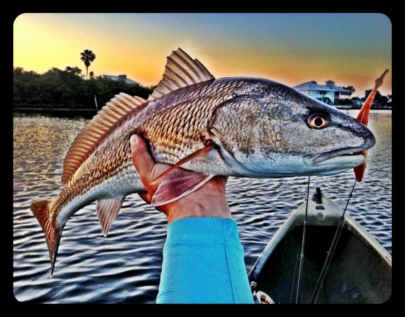 Photo of Redfish Caught by Patrick with Mister Twister Exude™ 5