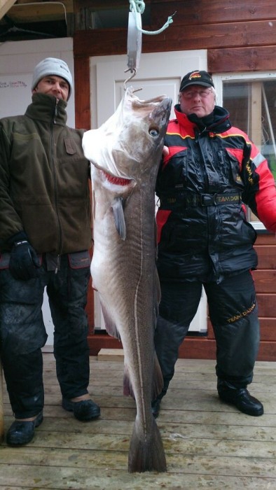 Photo of Cod Caught by Bert with Mister Twister 5