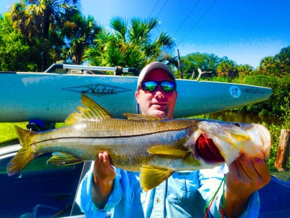 Photo of Snook Caught by Matt with Mister Twister Exude™ 5