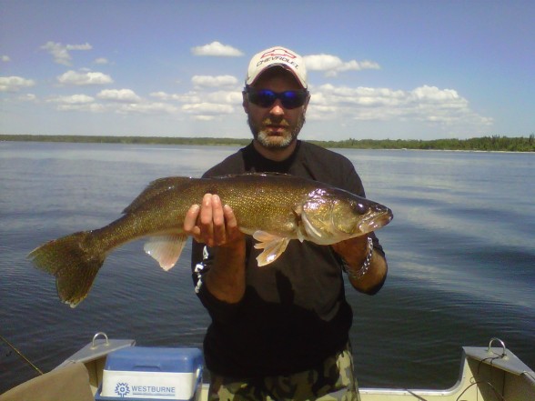 Photo of Walleye Caught by JASON with Mister Twister 4
