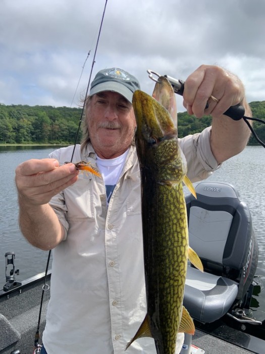 Photo of Pickerel Caught by JOHN with Mister Twister 2¾