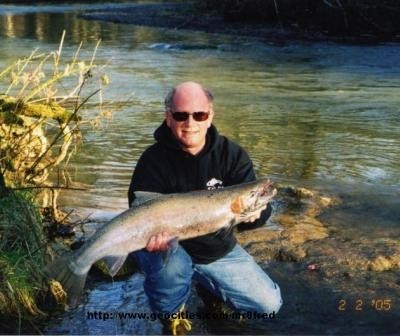 Steelhead Caught by Fred with Mister Twister Maribou Jigs in Washington