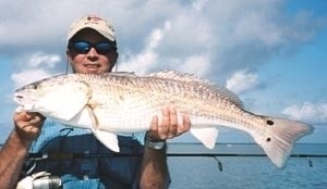 Photo of Redfish Caught by Capt. Rob with Mister Twister Exude™ 5