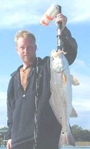Photo of Redfish Caught by Fletcher with Mister Twister Exude™ 3¾