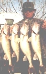 Photo of Walleye Caught by Dave with Mister Twister  in South Dakota
