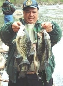 Photo of Crappie Caught by Gene with Mister Twister  in New Jersey
