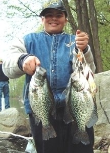 Photo of Crappie Caught by Sean with Mister Twister  in New Jersey