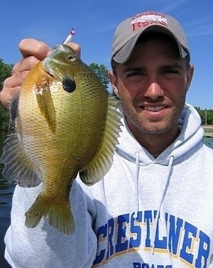 Photo of Bluegill Caught by Matt with Mister Twister  in Minnesota