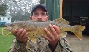 Photo of Walleye Caught by Frank with Mister Twister 4