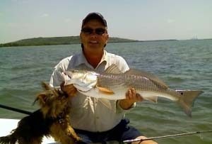 Photo of Redfish Caught by Alan with Mister Twister Exude™ 5