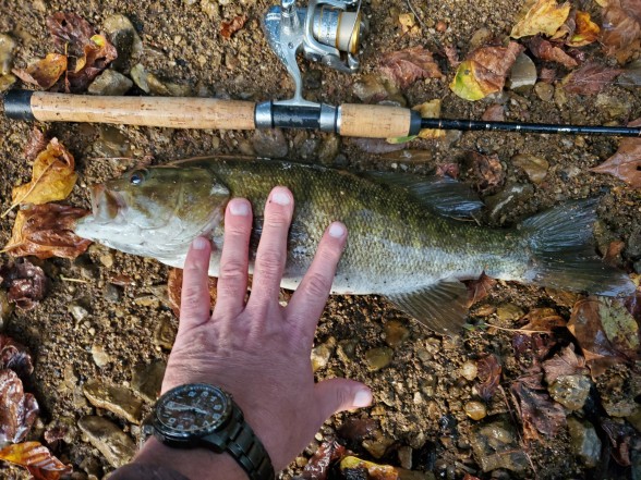 Photo of Bass Caught by Kenny with Mister Twister 2¾