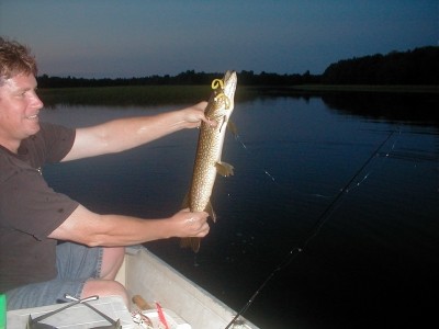 Photo of Pike Caught by Steve with Mister Twister 2