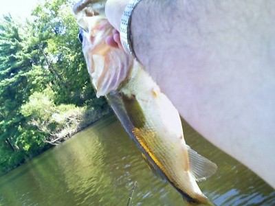 Photo of Bass Caught by Jay with Mister Twister 4