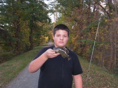 Photo of Bluegill Caught by MARTIN with Mister Twister 2