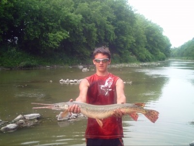 Photo of Longnose Gar Caught by Jimmy-lee with Mister Twister Sassy Shad® in Canada