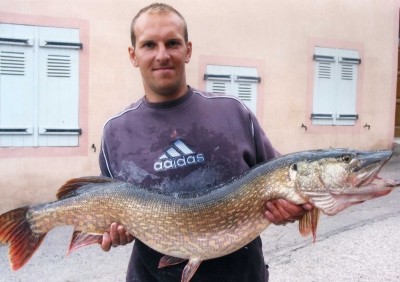Photo of Pike Caught by David with Mister Twister 4