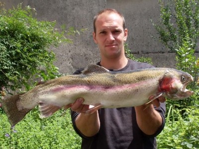 Photo of Trout Caught by David with Mister Twister 3