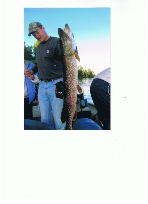 Photo of Pike Caught by Tom with Mister Twister  in Minnesota