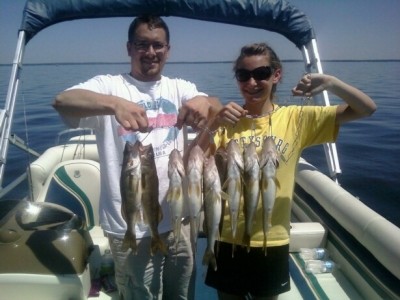 Photo of Walleye Caught by JEFF with Mister Twister 2
