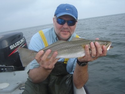 Photo of  Caught by Paul with Mister Twister Exude™ 5