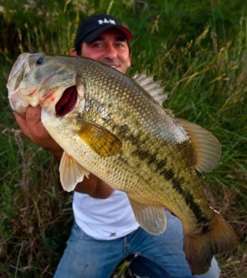 Photo of Bass Caught by Christophe with Mister Twister 3