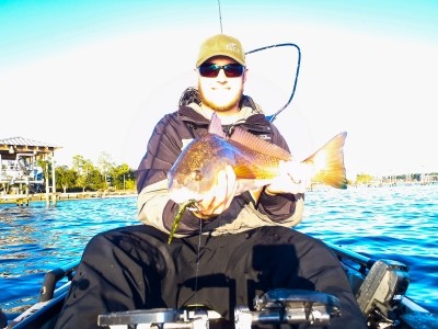 Photo of Redfish Caught by Jeff with Mister Twister Exude™ 4¼