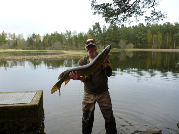 Photo of Pike Caught by Dave with Mister Twister 1¼
