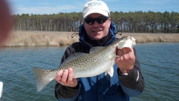 Photo of Trout Caught by Phillip with Mister Twister Exude™ 5