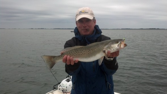 Photo of Trout Caught by Phillip with Mister Twister Exude™ 5