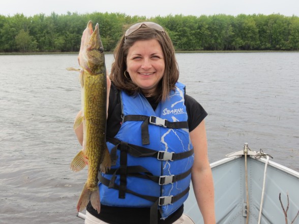Photo of Pickerel Caught by Amy with Mister Twister 2