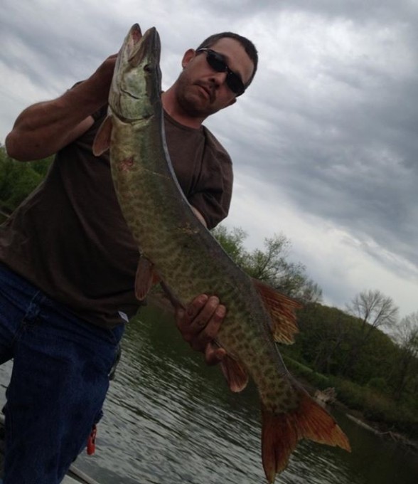 Photo of Musky Caught by Mark  with Mister Twister 3