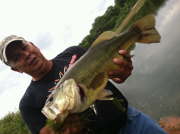 Photo of Bass Caught by Michael with Mister Twister G-Grub® in Oklahoma