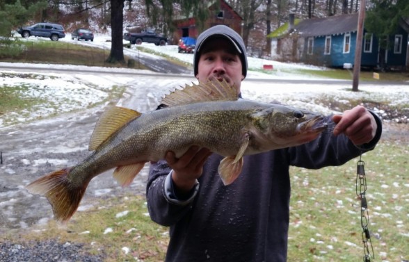 Photo of Walleye Caught by Mark  with Mister Twister 4