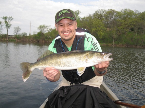 Photo of Walleye Caught by Nam with Mister Twister Sassy Shad® in Minnesota