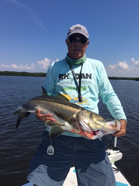 Photo of Snook Caught by Chuck with Mister Twister Exude™ 5