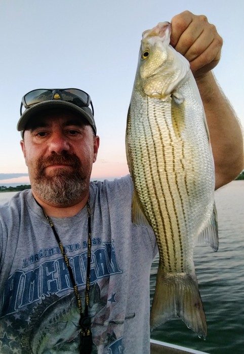 Photo of Bass Caught by Joe with Mister Twister 2