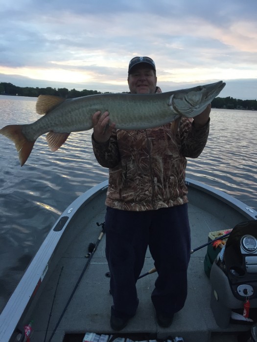 Photo of Musky Caught by David with Mister Twister  in Illinois