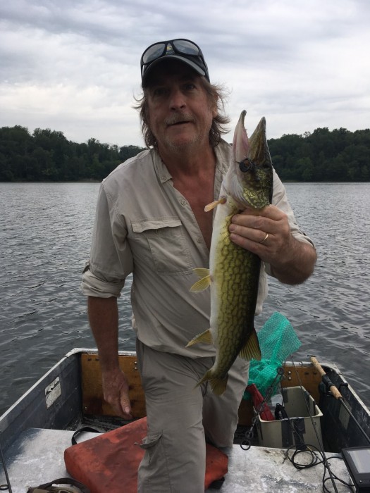 Photo of Pickerel Caught by John with Mister Twister  in United States